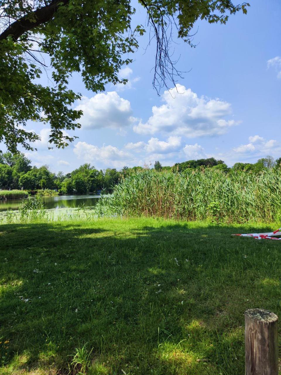 Ferienwohnung Mit Ausblick In Wimmelburg Екстер'єр фото
