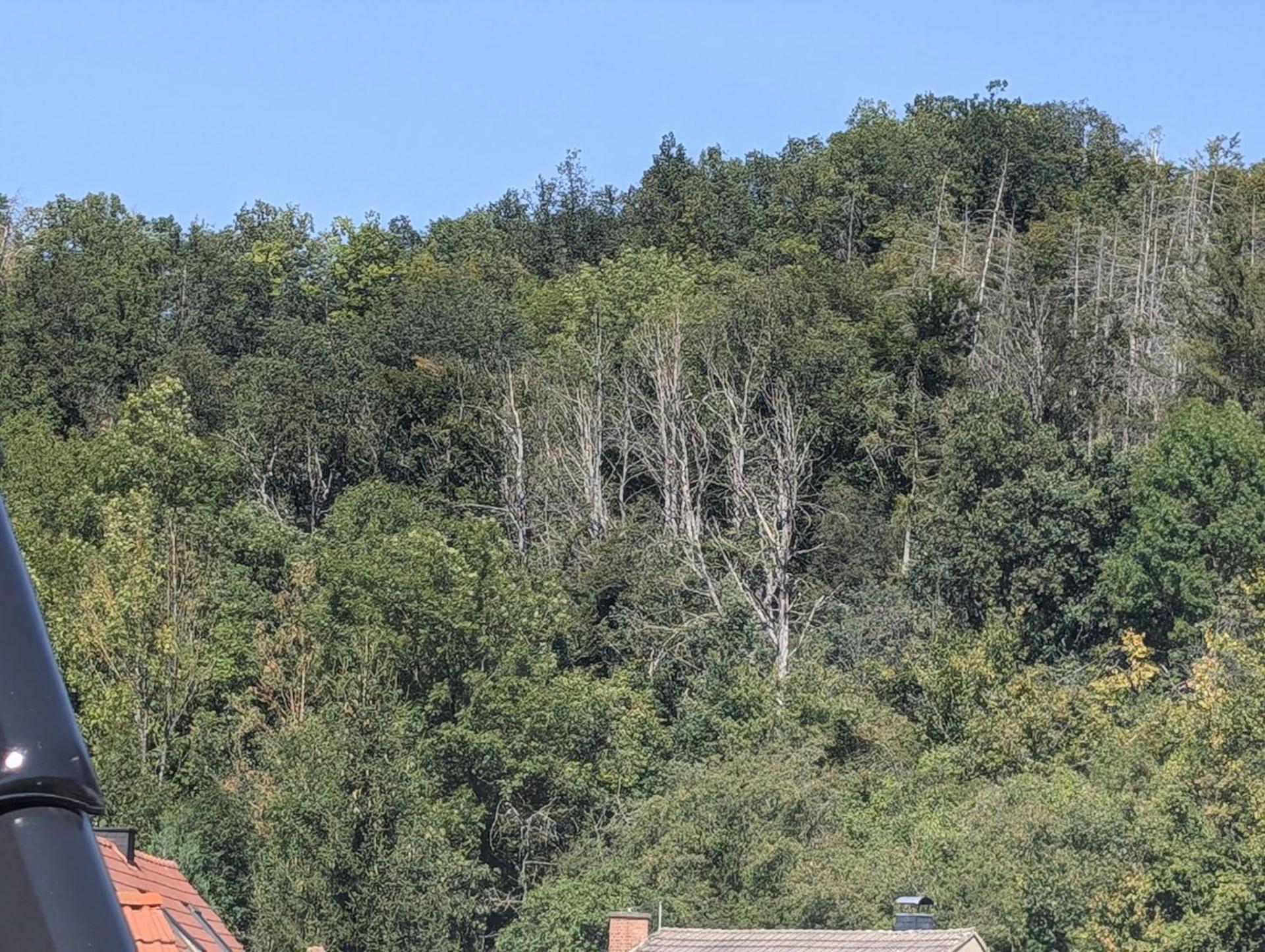 Ferienwohnung Mit Ausblick In Wimmelburg Екстер'єр фото